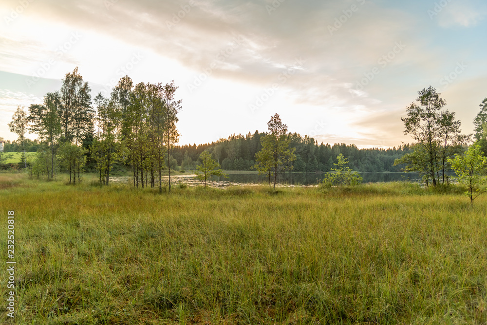 landscape with trees landscape with trees