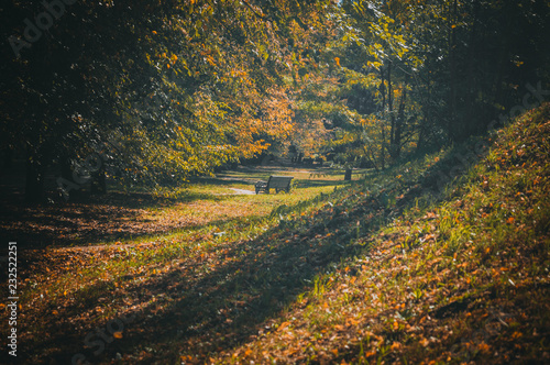 Autumn city park
