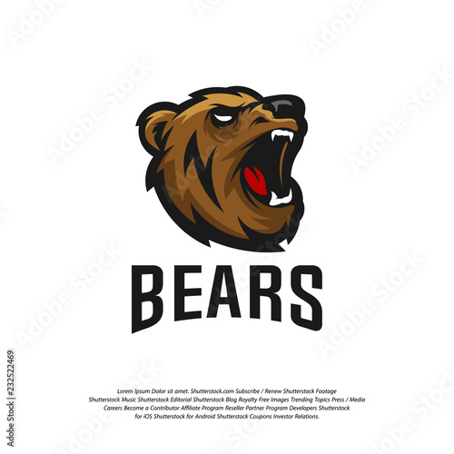 Bear Logo design vector. Modern professional grizzly bear logo for a sport team