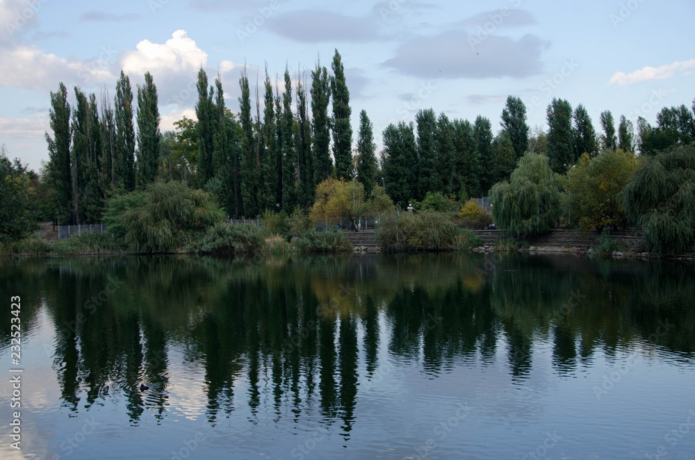 lake in forest