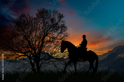 Silhouette of a horseman mounted on horseback next to a tree at sunset