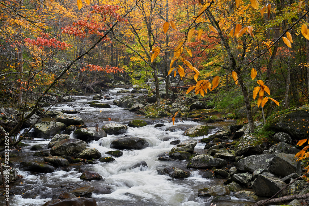Cascade in Little Pigeon River in the Autumn Cascade in Little Pigeon River in the Autumn