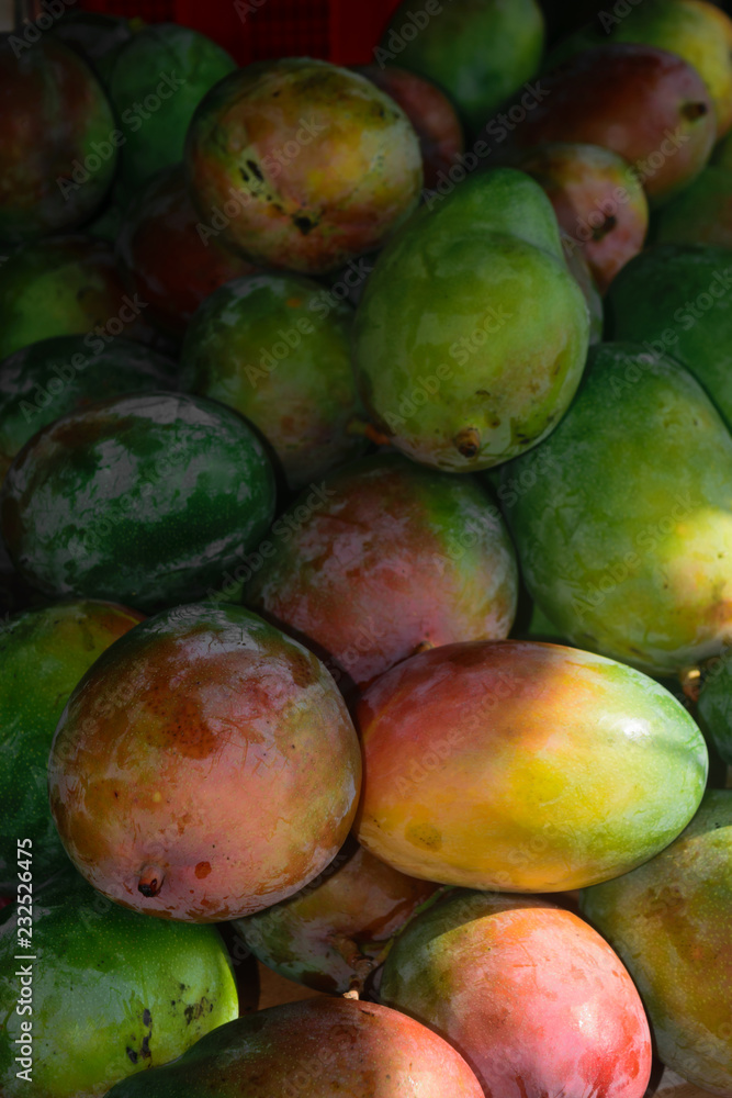 Background surface of mango fruits in the market Background surface of mango fruits in the market