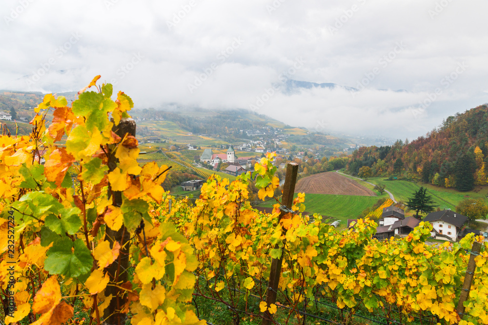 Picturesque autumnal view on Novacella, Varna, Bolzano in South Tyrol. Mountain scenery in Northern Italy. View from the top on the mountain valley. Colourful vineyards and yellow foliage on trees.