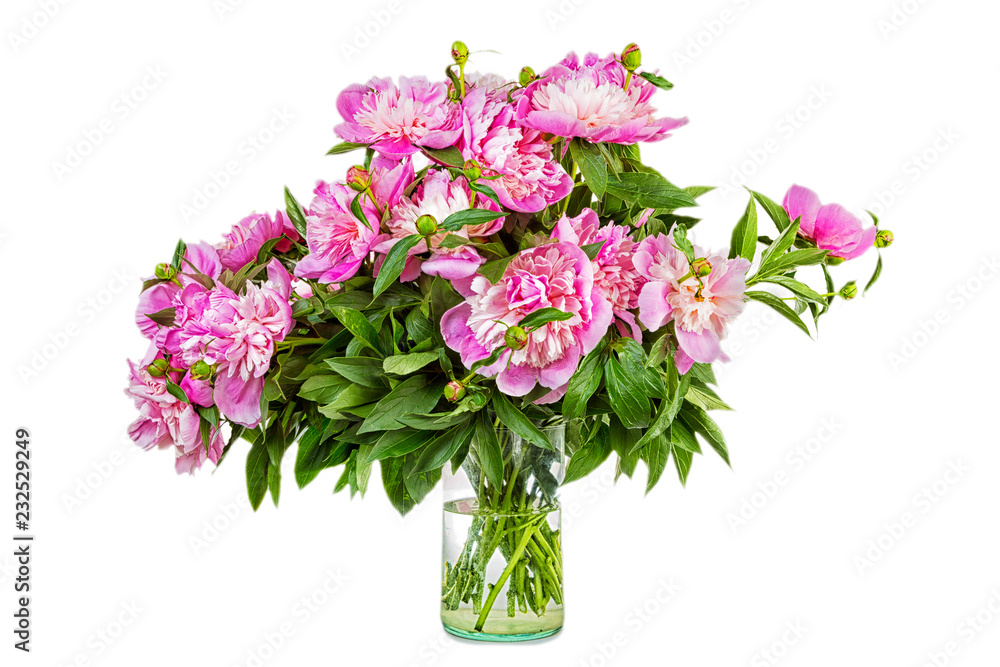 Big bouquet of pink peonies in a transparent vase, it is isolated, a white background