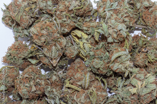 Obraz na płótnie Close up of deep green and red haired marijuana buds in a large pile. w salonie