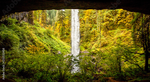 View from behind North Falls at Silver Falls State Park  Oregon  USA