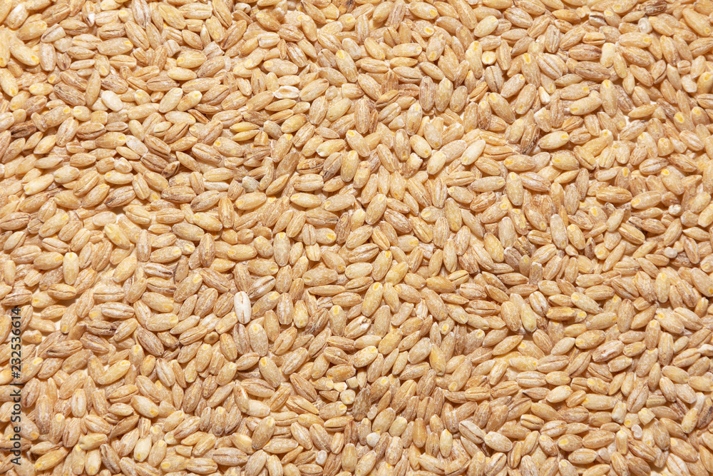 pearl barley grains. texture pearl barley grains. texture
