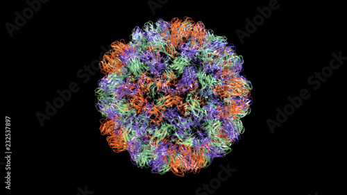 3D CG rendered image of scientifically accurate Brome Mosaic Virus Capsid based on PDB : 3J7L (ribbon style)