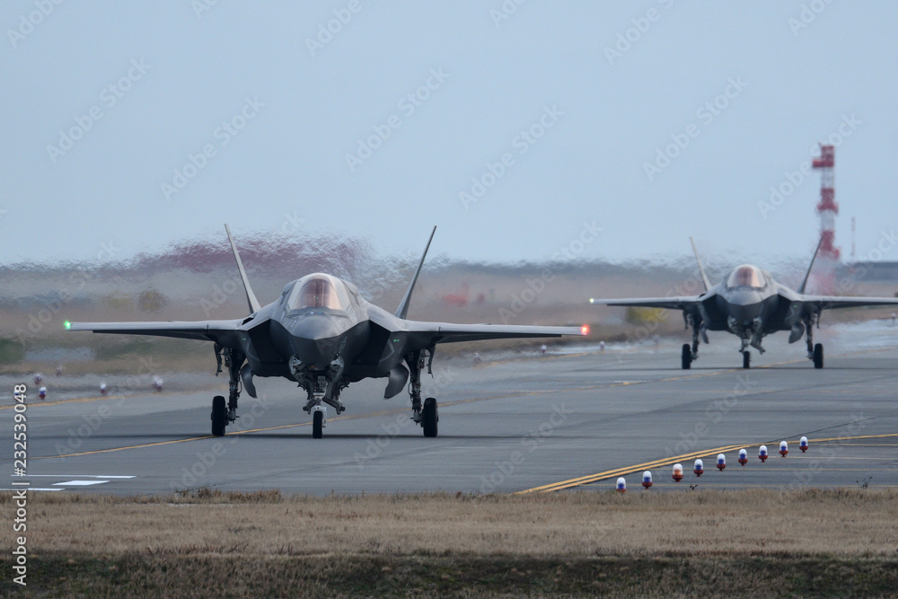 アメリカ海兵隊 F-35BライトニングⅡ タキシング Stock-Foto | Adobe Stock