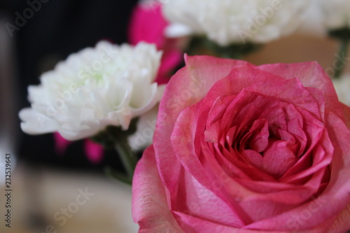 Blumen sagen mehr als tausend Worte