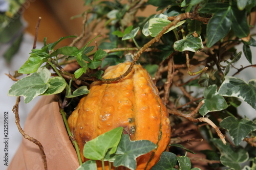 Herbstdekoration mit Kürbis
