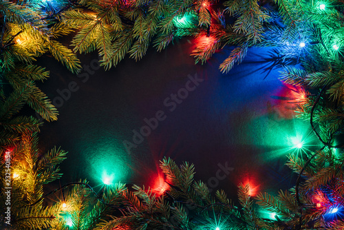 Christmas lights and fir branches on black background