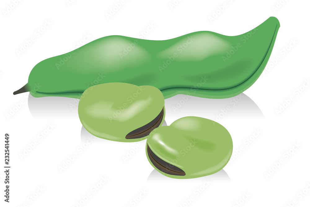 さや付きのそら豆のイラスト 食べ物のイラスト 白背景 Broad Beans Stock Vector Adobe Stock さや付きのそら豆のイラスト 食べ物のイラスト 白背景 Broad Beans Stock Vector Adobe Stock