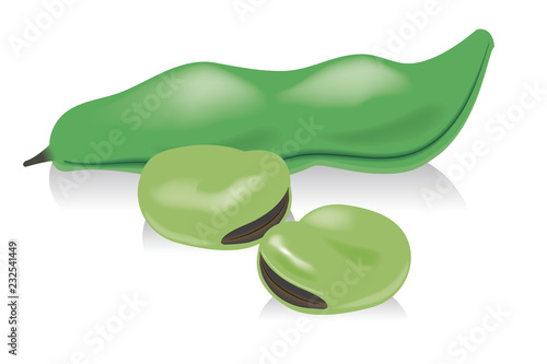 さや付きのそら豆のイラスト 食べ物のイラスト 白背景 Broad Beans Stock Vector Adobe Stock