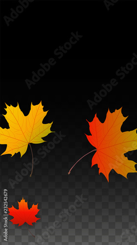 September Vector Background with Golden Falling Leaves. Autumn Illustration with Maple Red, Orange, Yellow Foliage. Isolated Leaf on Transparent Background. Bright Swirl. Suitable for Posters.