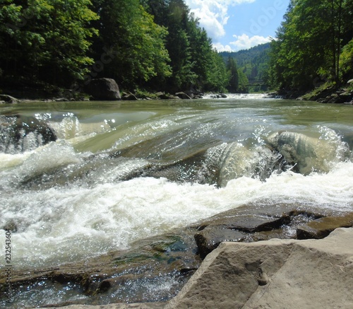 river Prut