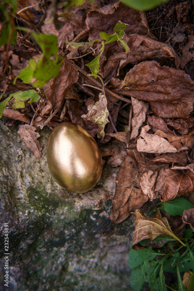 Golden Egg Metaphor Concept Golden Egg Metaphor Concept