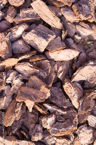 wooden chips mulch on the ground texture. background.