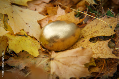 Golden Egg Metaphor Concept