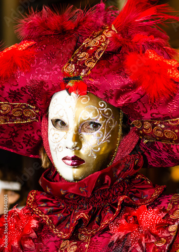 Fototapeta Naklejka Na Ścianę i Meble -  venetian carnival mask - looks