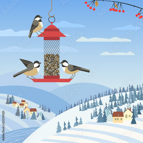 Chickadee birds on feeder. Birdfeeding near winter rural community. Small bird of backyard minimal cartoon design. Robin birds feeding by sunflower seeds. Birdwatching background. Vector illustration