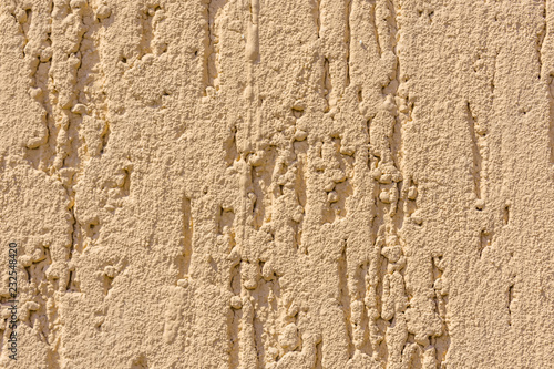 Texture of the decorative stucco bark beetle as a background