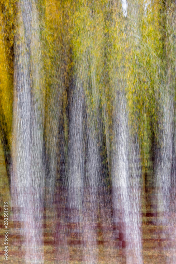Naklejka premium Impressionistic Autumn Color in Colorado