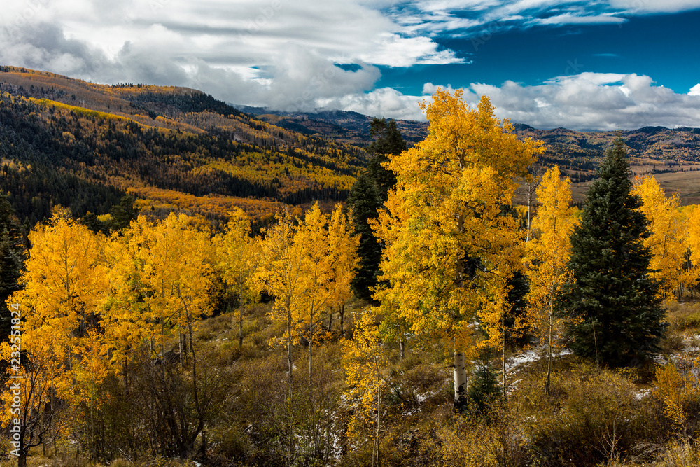 Autumn Color in Colorado, Landscape