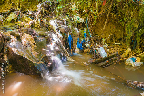 Beautiful forest stream highly polluted with waste