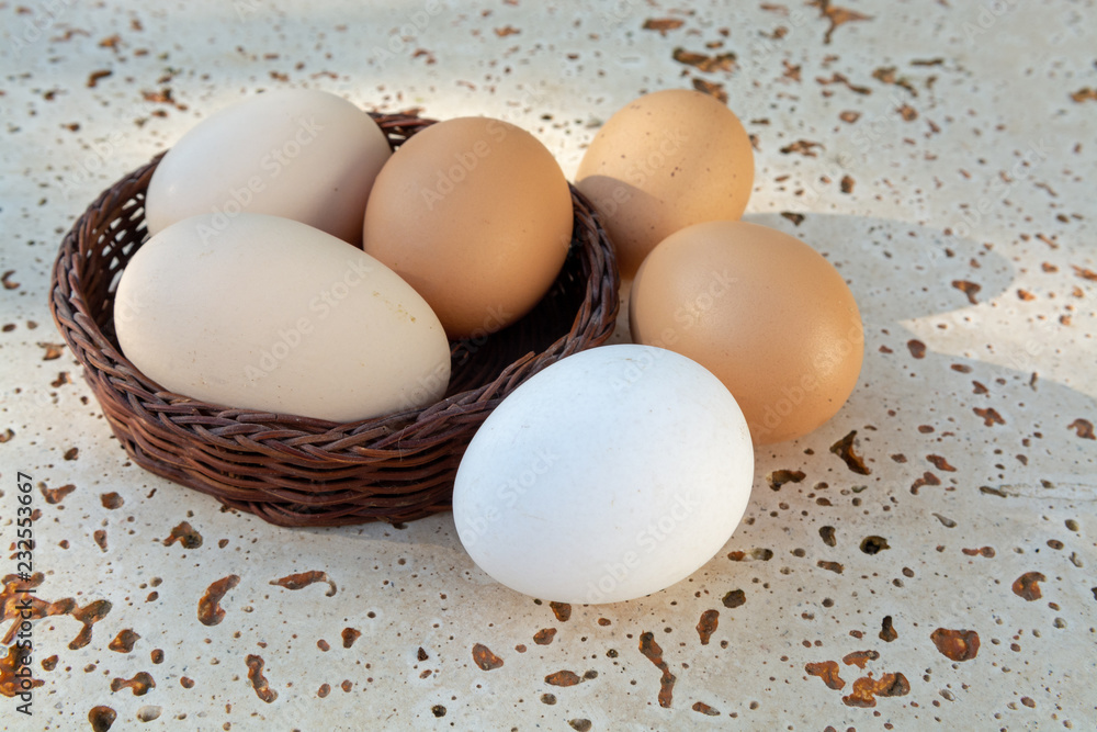 Fresh organic chicken eggs from cage free bio farm Fresh organic chicken eggs from cage free bio farm