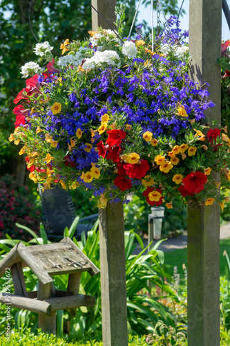 Details of spring or summer garden full with colorful flowers