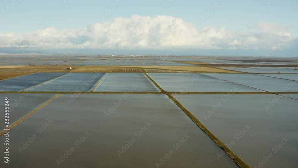 Aerial view of cultivated rice growing fields Sutter Northern ...