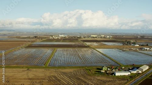 Wallpaper Mural Aerial view of commercial rice growing fields Northern California Torontodigital.ca