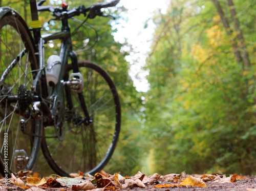 Black bike in forest in autumn. Bicycle ride. Biking in the wilderness. Cycling in the suburbs. Traveling by bicycle. © SeagullNady