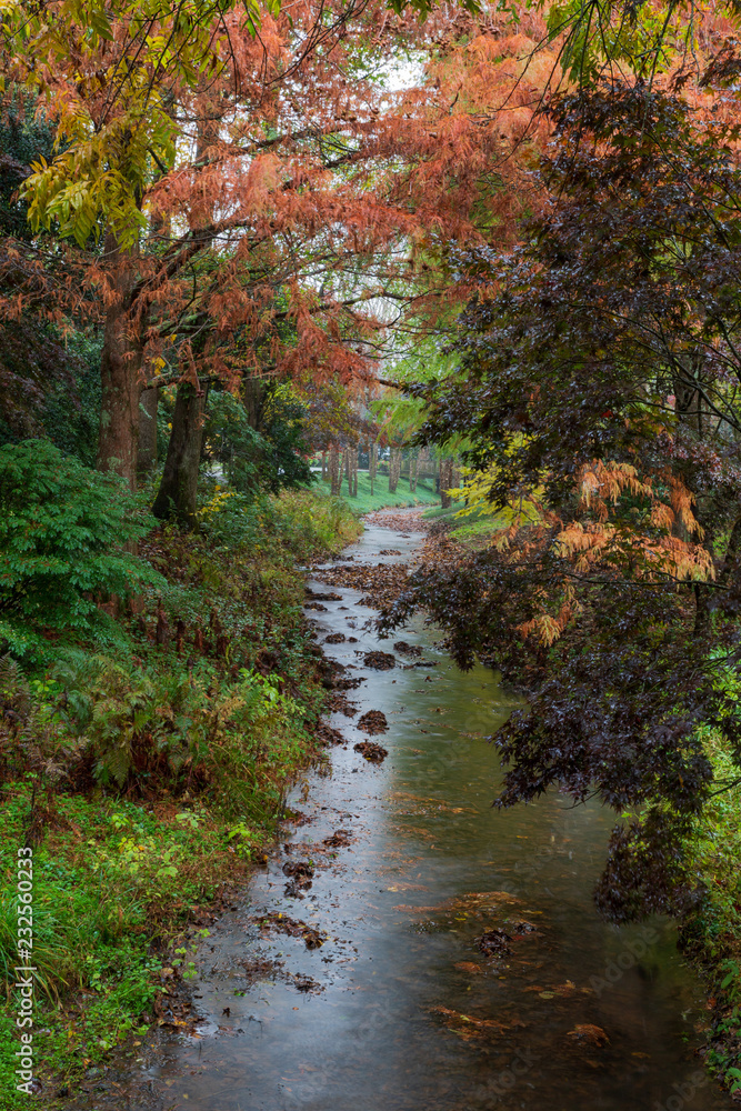 Beautiful colored lined stream at Gibbs Gardens in the fall. Beautiful colored lined stream at Gibbs Gardens in the fall.