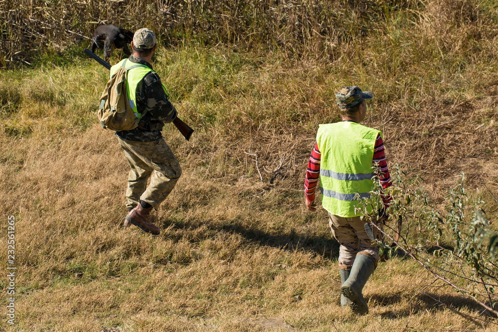 Hunters with a german drathaar and spaniel, pigeon hunting with dogs in reflective vests Hunters with a german drathaar and spaniel, pigeon hunting with dogs in reflective vests