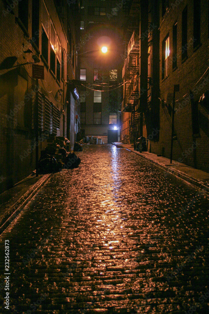 Fototapeta premium night alley after rain