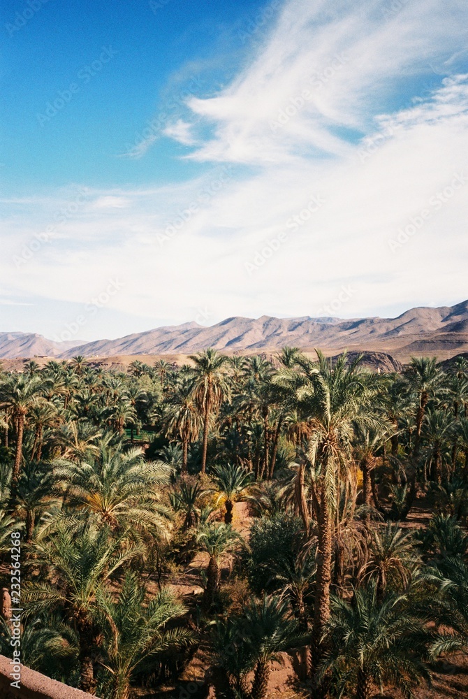 Oasis Oasis
