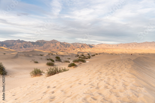 Golden light ends the day on the dunes of death valley