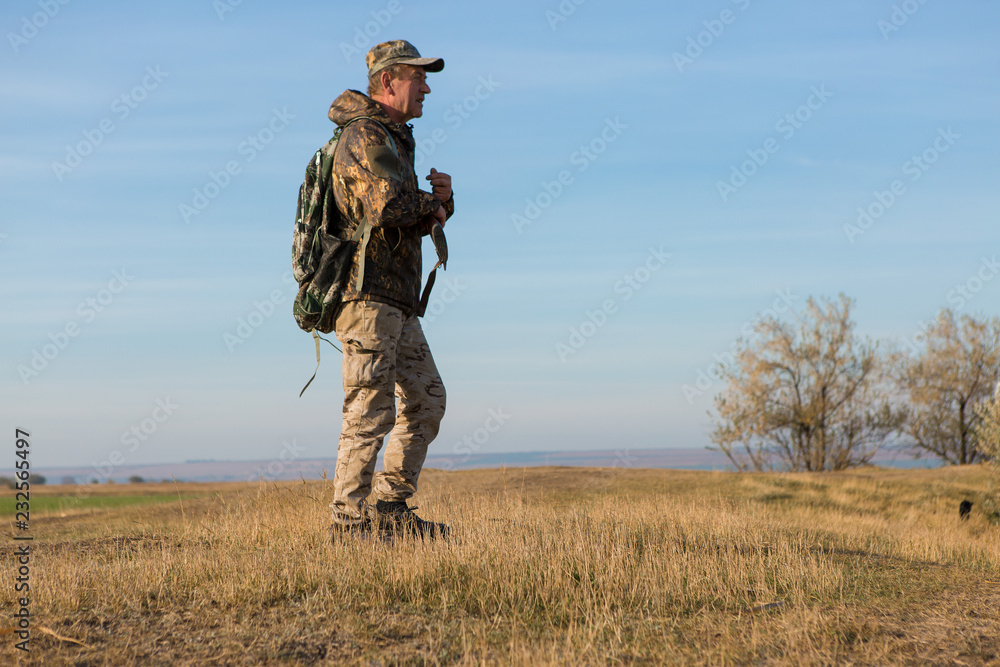 Hunters with a german drathaar and spaniel, pigeon hunting with dogs in reflective vests Hunters with a german drathaar and spaniel, pigeon hunting with dogs in reflective vests
