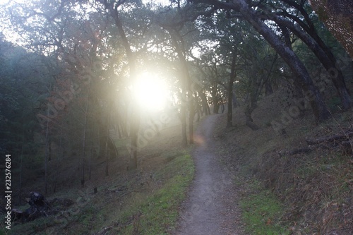 Shiloh Ranch Regional Park in southeast Windsor features a rugged landscape in the foothills of the Mayacamas Mountains. The park includes oak woodlands, forests of mixed evergreens,. photo