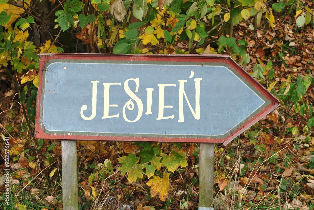 Fototapeta premium Jesień