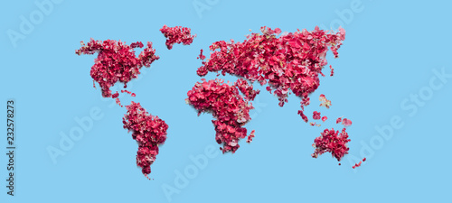 Obraz na plátně Flower continents on blue background