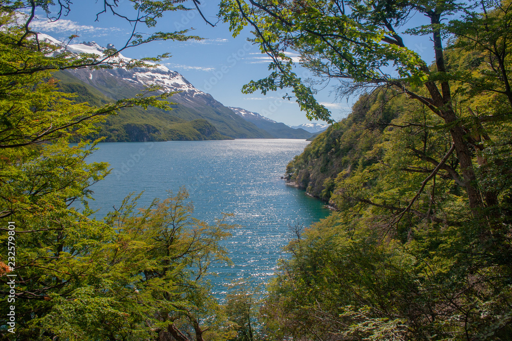 Snowy mountains and trees in landscape of lake Lago O'Higgins or Lago San Martin in Patagonia in Chile and Argentina