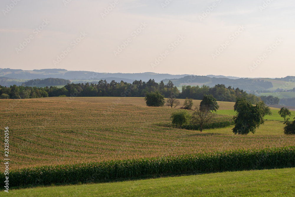 Aufnahmen von Kirchberg ob der Donau Oberösterreich Österreich Aufnahmen von Kirchberg ob der Donau Oberösterreich Österreich