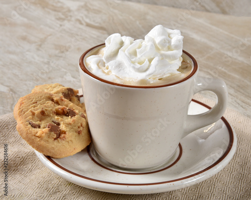 Gourmet hot chocolate with cookies