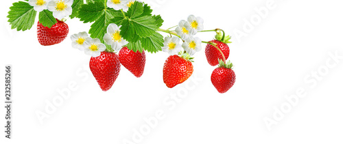 fresh tasty red ripe strawberries