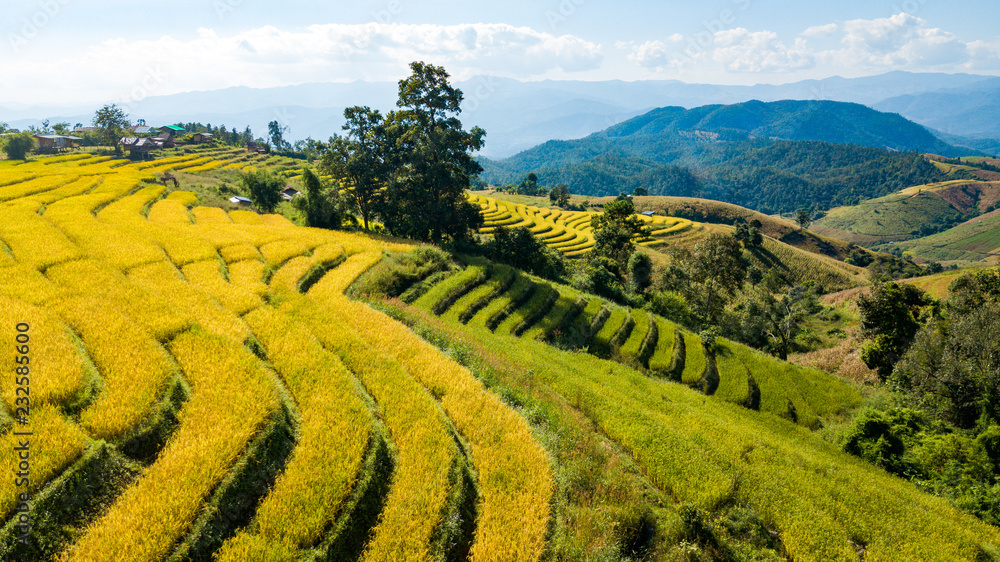 The most beautiful rice terraces at little hamlet of rolling rice terraces name Ban Pa Pong Piang and nestled in the mountains of Doi Inthanon national park in Chiangmai, Thailand (from hight view)