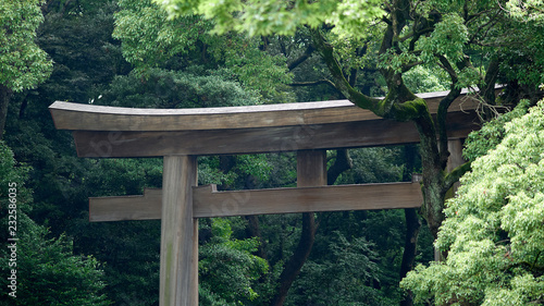 日本の神社の鳥居